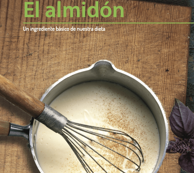 El amidón (Spanish Version)
